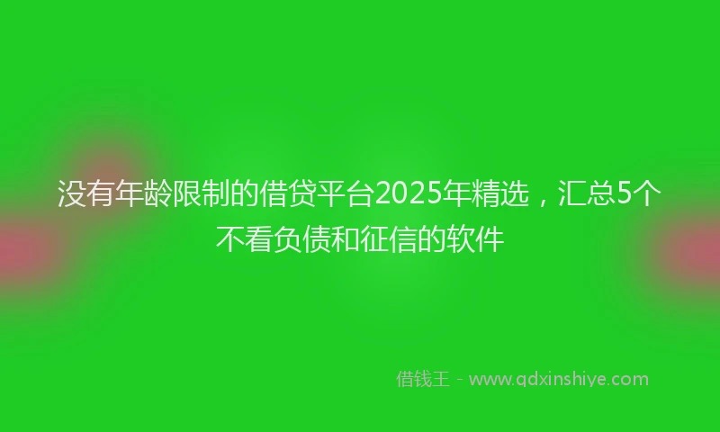 没有年龄限制的借贷平台2025年精选，汇总5个不看负债和征信的软件