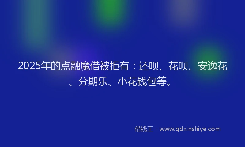 2025年的点融魔借被拒有：还呗、花呗、安逸花、分期乐、小花钱包等。