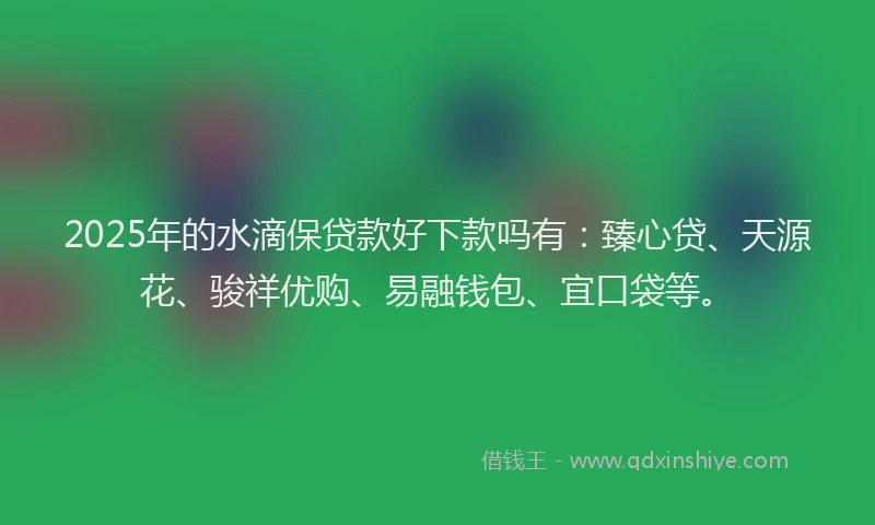 2025年的水滴保贷款好下款吗有：臻心贷、天源花、骏祥优购、易融钱包、宜口袋等。