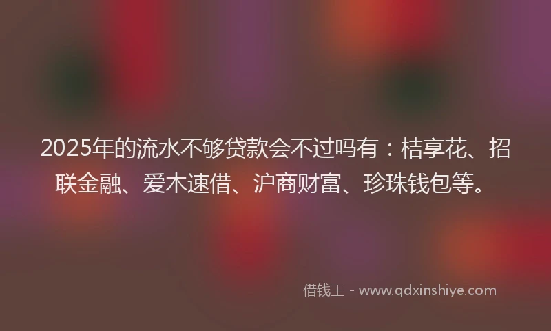 2025年的流水不够贷款会不过吗有：桔享花、招联金融、爱木速借、沪商财富、珍珠钱包等。