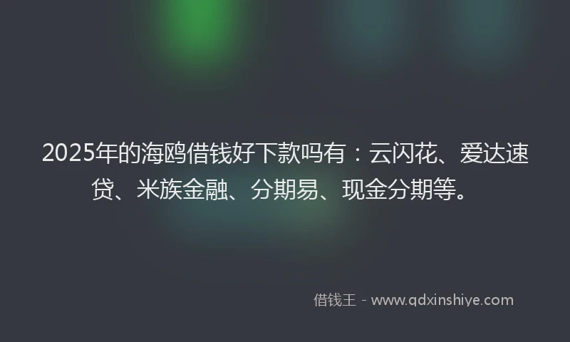 2025年的海鸥借钱好下款吗有：云闪花、爱达速贷、米族金融、分期易、现金分期等。