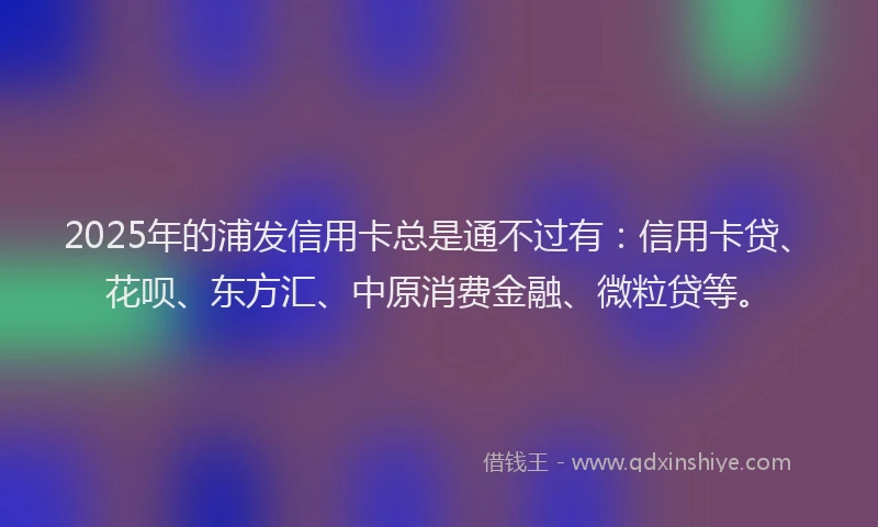 2025年的浦发信用卡总是通不过有：信用卡贷、花呗、东方汇、中原消费金融、微粒贷等。