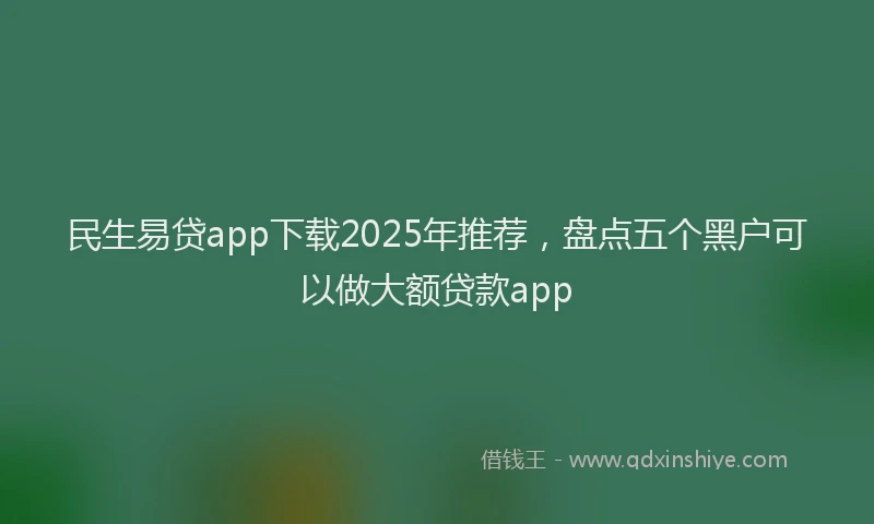 民生易贷app下载2025年推荐，盘点五个黑户可以做大额贷款app