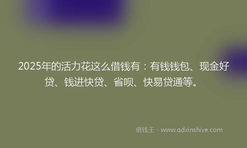2025年的活力花这么借钱有：有钱钱包、现金好贷、钱进快贷、省呗、快易贷通等。