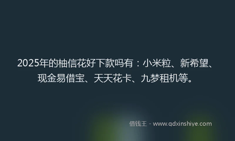 2025年的柚信花好下款吗有：小米粒、新希望、现金易借宝、天天花卡、九梦租机等。
