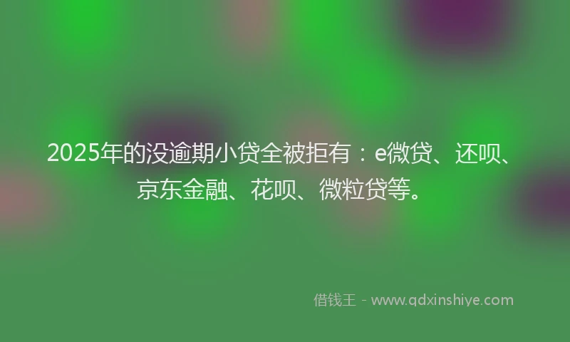 2025年的没逾期小贷全被拒有：e微贷、还呗、京东金融、花呗、微粒贷等。