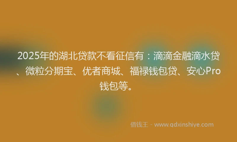 2025年的湖北贷款不看征信有：滴滴金融滴水贷、微粒分期宝、优者商城、福禄钱包贷、安心Pro钱包等。