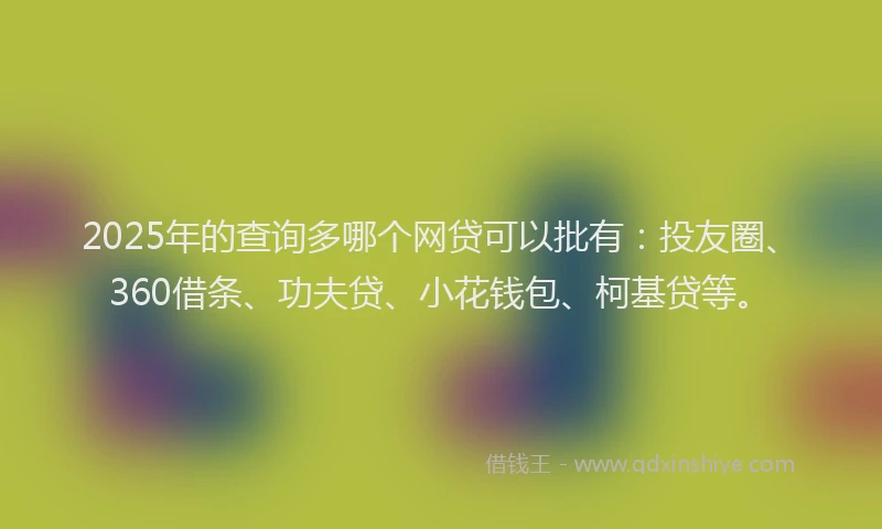 2025年的查询多哪个网贷可以批有：投友圈、360借条、功夫贷、小花钱包、柯基贷等。