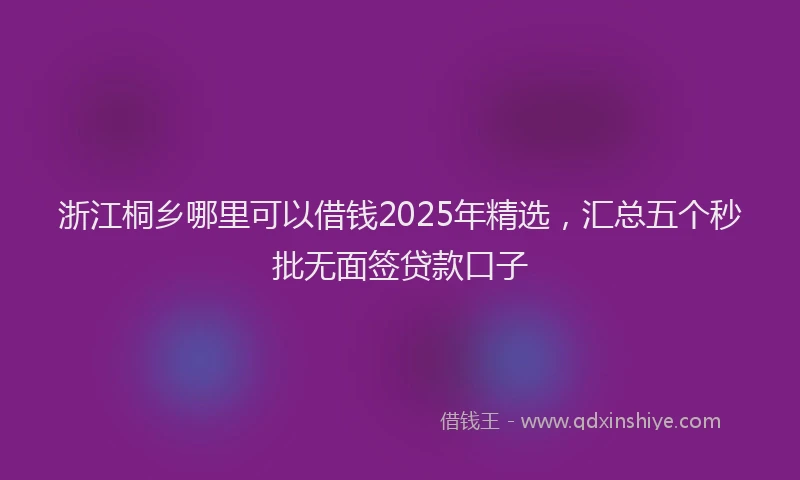 浙江桐乡哪里可以借钱2025年精选，汇总五个秒批无面签贷款口子