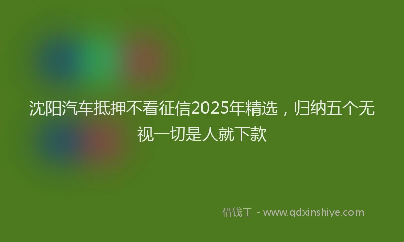 沈阳汽车抵押不看征信2025年精选，归纳五个无视一切是人就下款