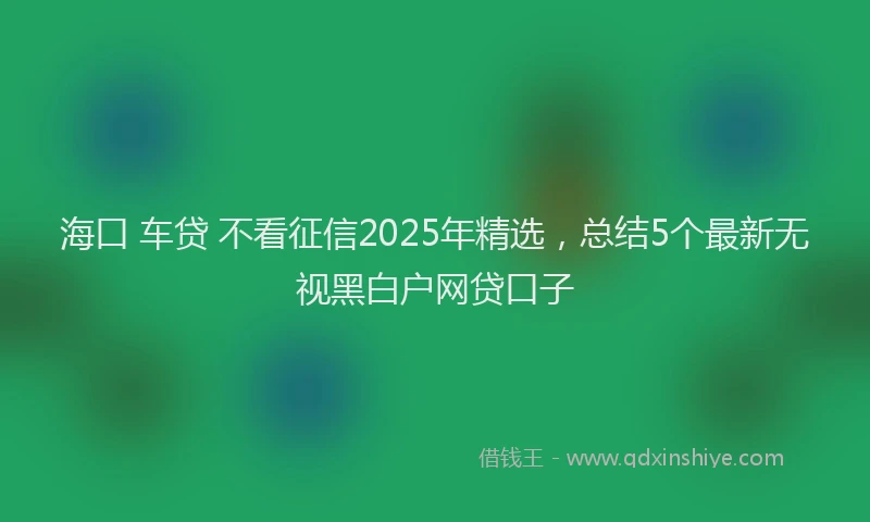 海口 车贷 不看征信2025年精选，总结5个最新无视黑白户网贷口子