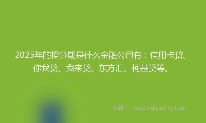 2025年的橙分期是什么金融公司有：信用卡贷、你我贷、我来贷、东方汇、柯基贷等。
