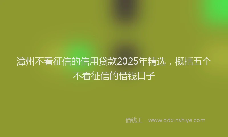 漳州不看征信的信用贷款2025年精选，概括五个不看征信的借钱口子