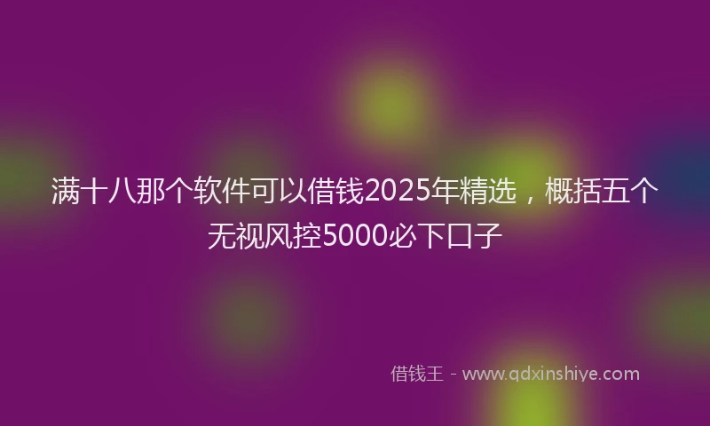 满十八那个软件可以借钱2025年精选，概括五个无视风控5000必下口子