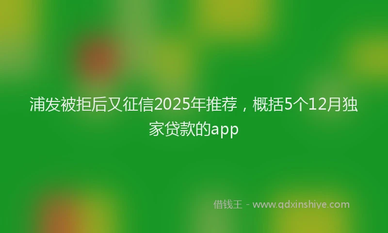 浦发被拒后又征信2025年推荐，概括5个12月独家贷款的app
