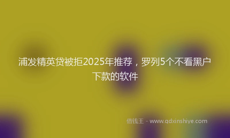 浦发精英贷被拒2025年推荐，罗列5个不看黑户下款的软件