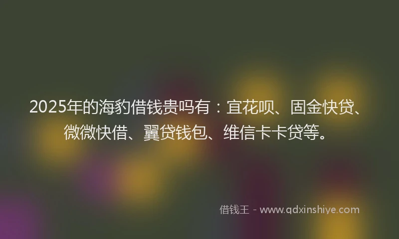 2025年的海豹借钱贵吗有：宜花呗、固金快贷、微微快借、翼贷钱包、维信卡卡贷等。