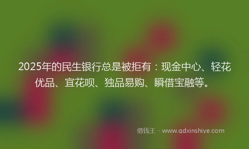 2025年的民生银行总是被拒有：现金中心、轻花优品、宜花呗、独品易购、瞬借宝融等。