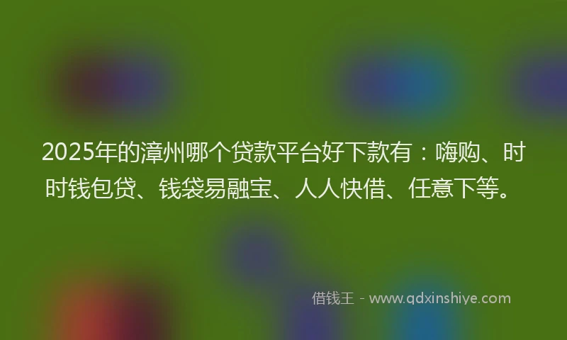 2025年的漳州哪个贷款平台好下款有：嗨购、时时钱包贷、钱袋易融宝、人人快借、任意下等。