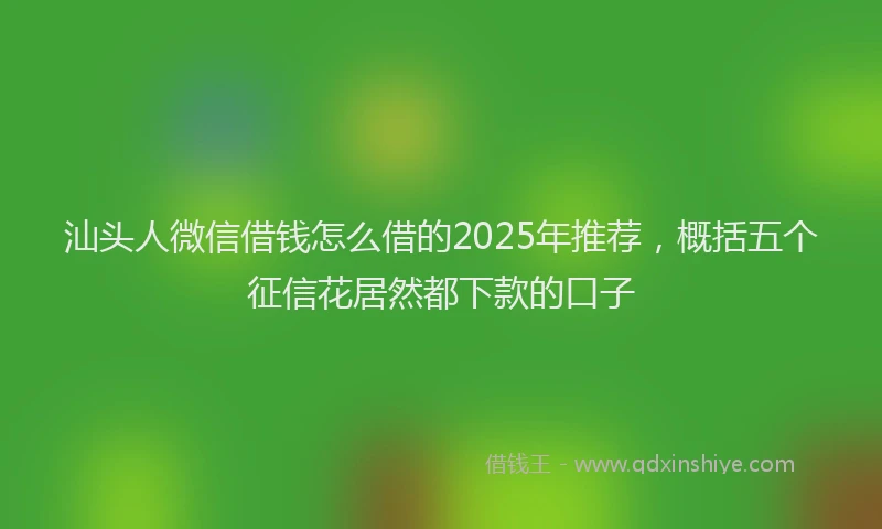 汕头人微信借钱怎么借的2025年推荐，概括五个征信花居然都下款的口子