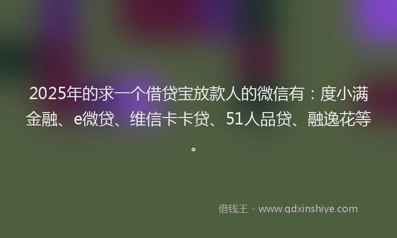 2025年的求一个借贷宝放款人的微信有：度小满金融、e微贷、维信卡卡贷、51人品贷、融逸花等。