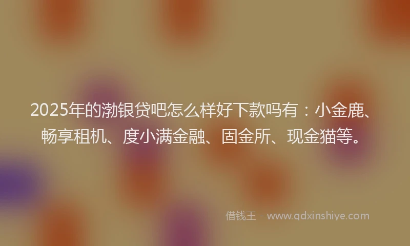 2025年的渤银贷吧怎么样好下款吗有：小金鹿、畅享租机、度小满金融、固金所、现金猫等。