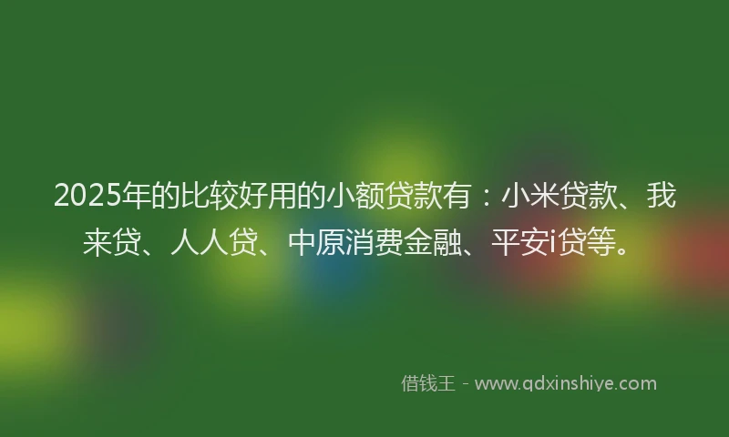 2025年的比较好用的小额贷款有：小米贷款、我来贷、人人贷、中原消费金融、平安i贷等。
