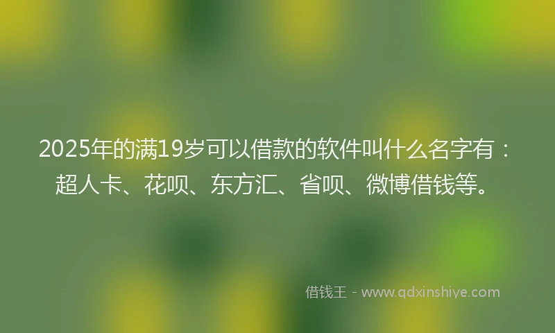 2025年的满19岁可以借款的软件叫什么名字有：超人卡、花呗、东方汇、省呗、微博借钱等。