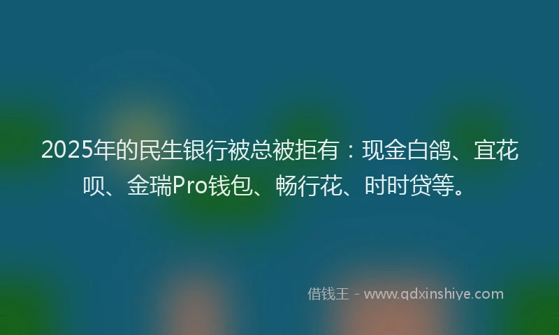 2025年的民生银行被总被拒有：现金白鸽、宜花呗、金瑞Pro钱包、畅行花、时时贷等。