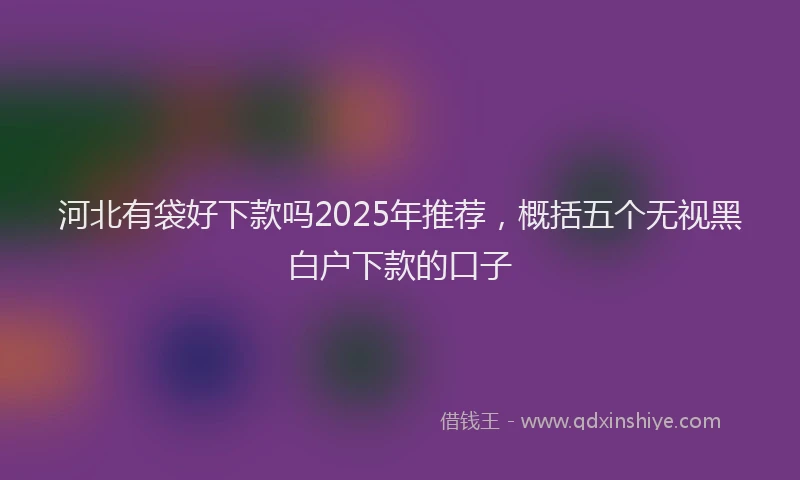 河北有袋好下款吗2025年推荐，概括五个无视黑白户下款的口子
