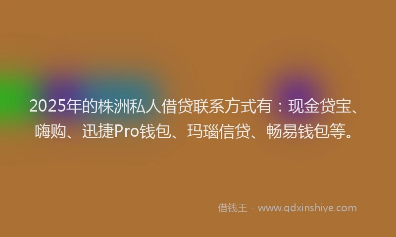 2025年的株洲私人借贷联系方式有：现金贷宝、嗨购、迅捷Pro钱包、玛瑙信贷、畅易钱包等。