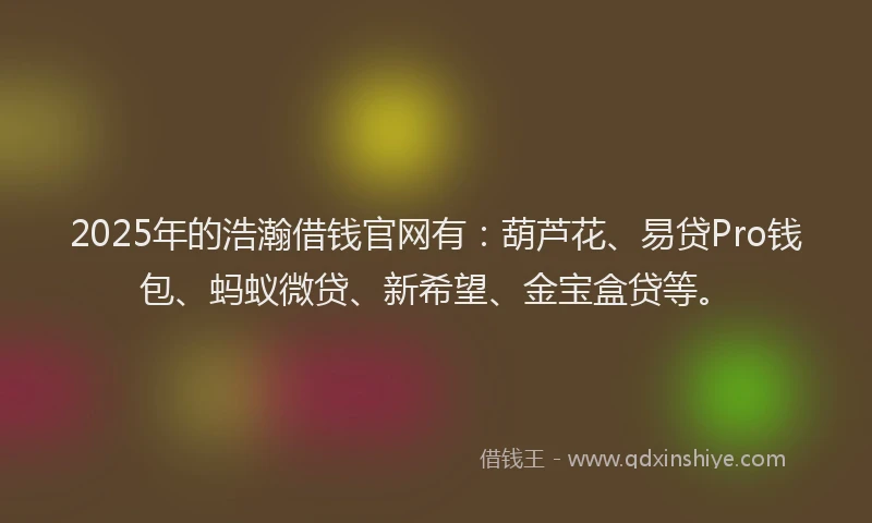 2025年的浩瀚借钱官网有：葫芦花、易贷Pro钱包、蚂蚁微贷、新希望、金宝盒贷等。