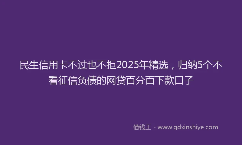 民生信用卡不过也不拒2025年精选，归纳5个不看征信负债的网贷百分百下款口子