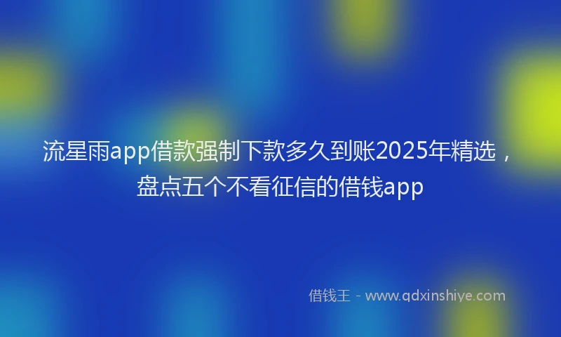 流星雨app借款强制下款多久到账2025年精选，盘点五个不看征信的借钱app