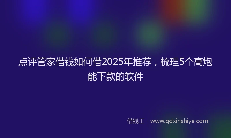 点评管家借钱如何借2025年推荐，梳理5个高炮能下款的软件