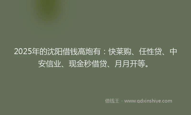 2025年的沈阳借钱高炮有：快莱购、任性贷、中安信业、现金秒借贷、月月开等。