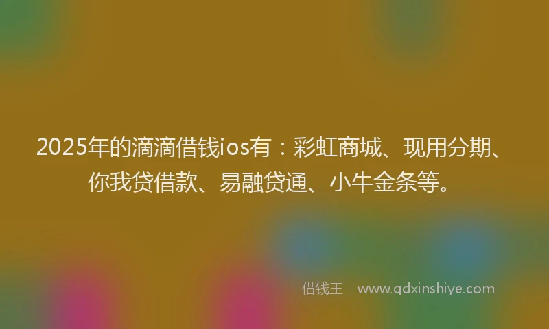 2025年的滴滴借钱ios有：彩虹商城、现用分期、你我贷借款、易融贷通、小牛金条等。