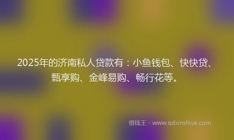 2025年的济南私人贷款有：小鱼钱包、快快贷、甄享购、金峰易购、畅行花等。