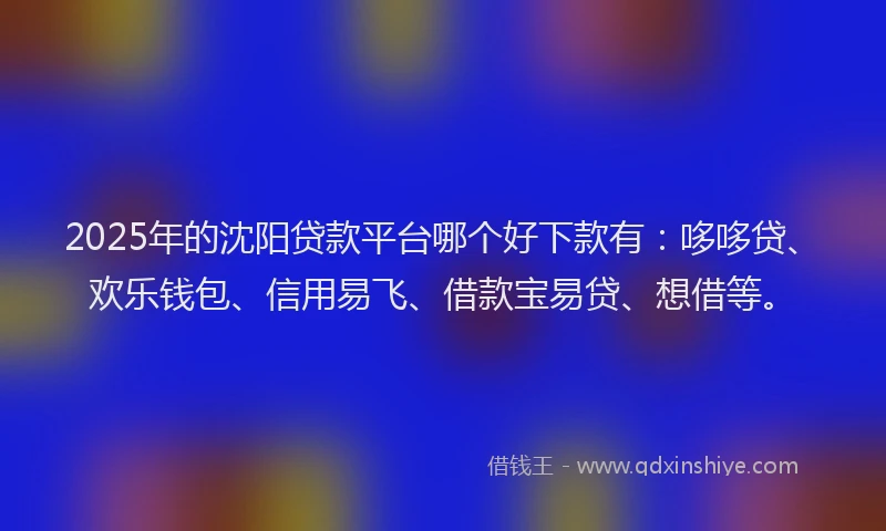 2025年的沈阳贷款平台哪个好下款有：哆哆贷、欢乐钱包、信用易飞、借款宝易贷、想借等。
