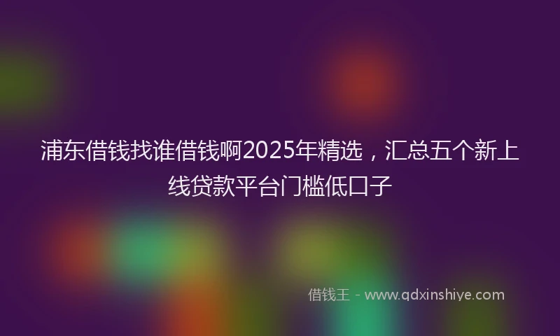 浦东借钱找谁借钱啊2025年精选，汇总五个新上线贷款平台门槛低口子
