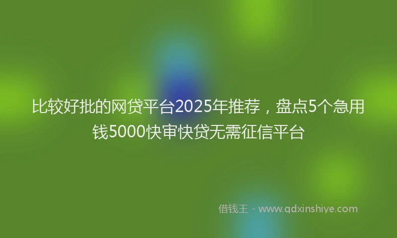 比较好批的网贷平台2025年推荐，盘点5个急用钱5000快审快贷无需征信平台