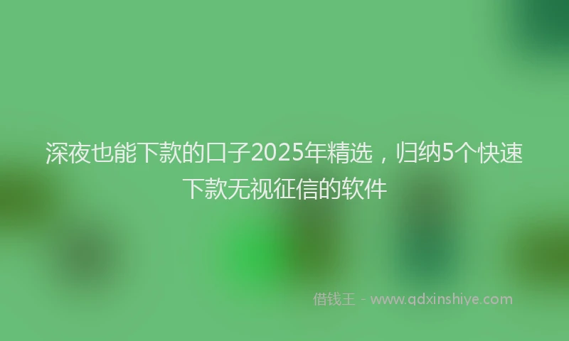 深夜也能下款的口子2025年精选，归纳5个快速下款无视征信的软件
