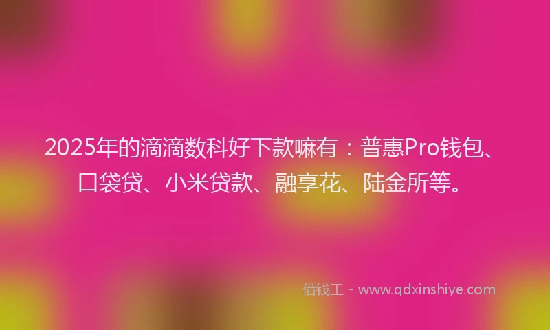 2025年的滴滴数科好下款嘛有：普惠Pro钱包、口袋贷、小米贷款、融享花、陆金所等。