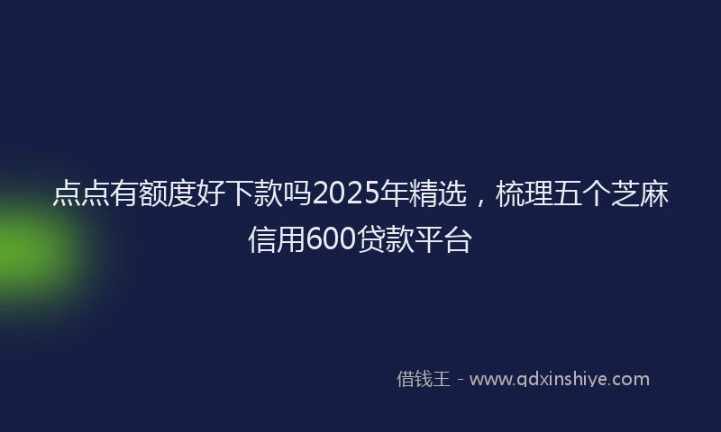 点点有额度好下款吗2025年精选，梳理五个芝麻信用600贷款平台