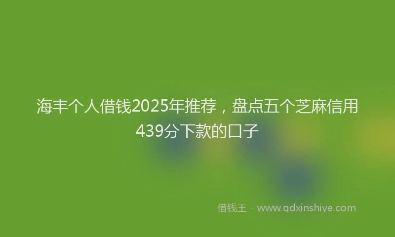 海丰个人借钱2025年推荐，盘点五个芝麻信用439分下款的口子