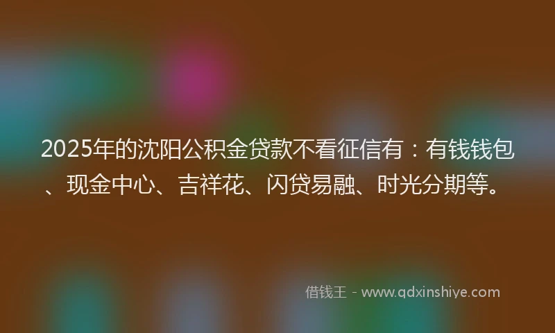 2025年的沈阳公积金贷款不看征信有：有钱钱包、现金中心、吉祥花、闪贷易融、时光分期等。