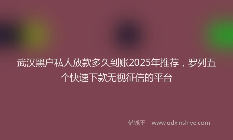 武汉黑户私人放款多久到账2025年推荐，罗列五个快速下款无视征信的平台