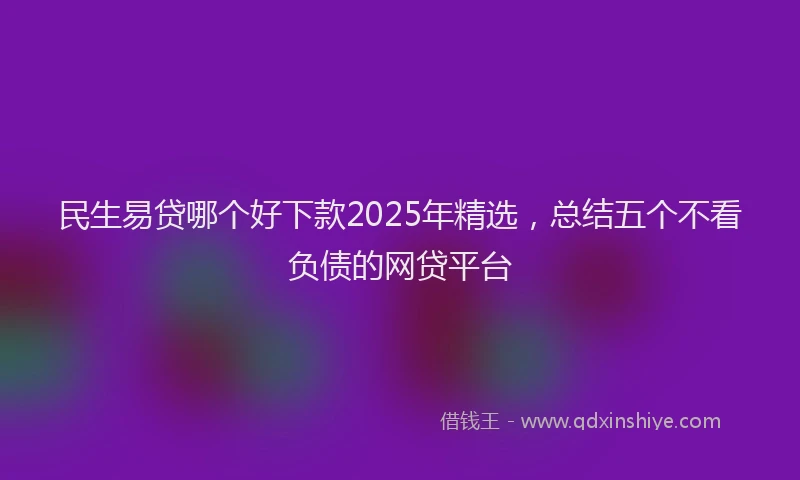 民生易贷哪个好下款2025年精选，总结五个不看负债的网贷平台