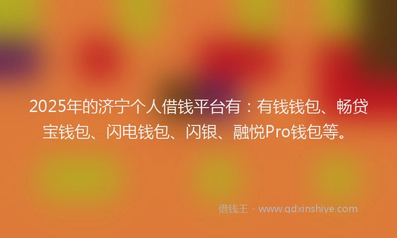 2025年的济宁个人借钱平台有：有钱钱包、畅贷宝钱包、闪电钱包、闪银、融悦Pro钱包等。