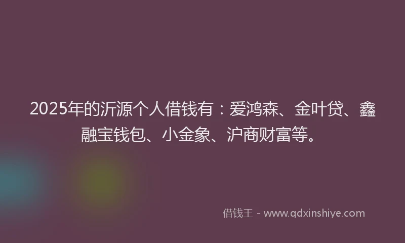 2025年的沂源个人借钱有：爱鸿森、金叶贷、鑫融宝钱包、小金象、沪商财富等。